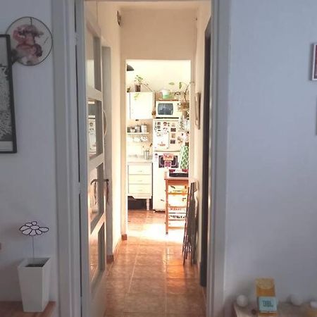 Apartmán Calido Apartamento A 8 Cuadras Del Mar Y A 3 De 18 Julio Hay Una Gatita Que Vive Alli Montevideo Exteriér fotografie